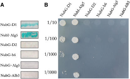 Figure 12.