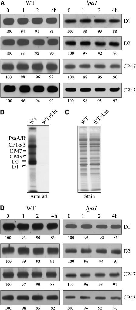 Figure 7.