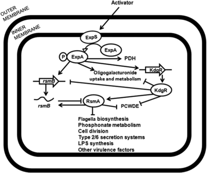 FIG 6