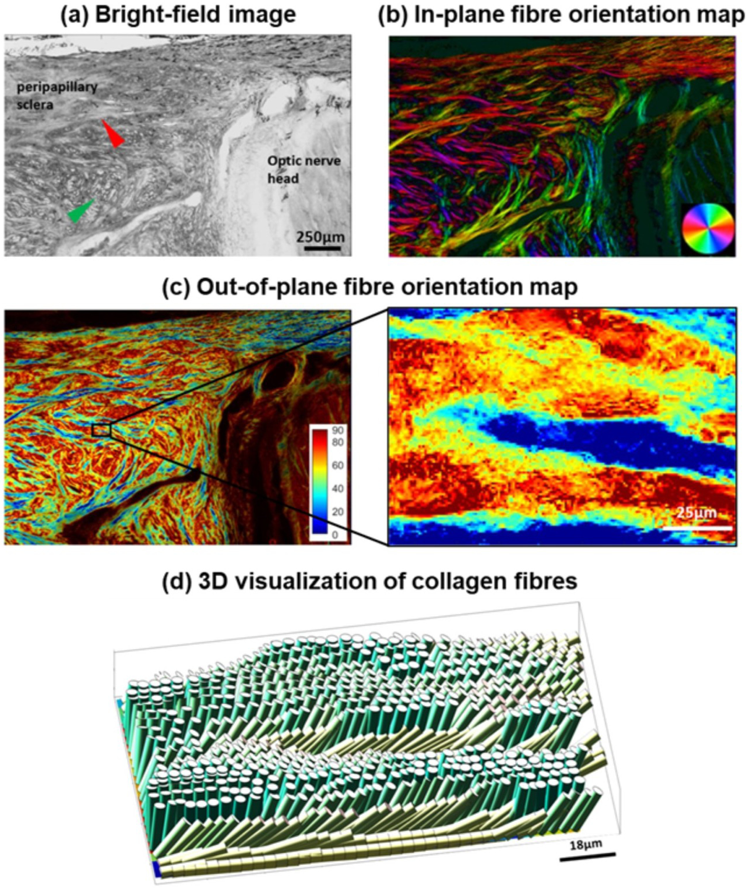 Figure 14: