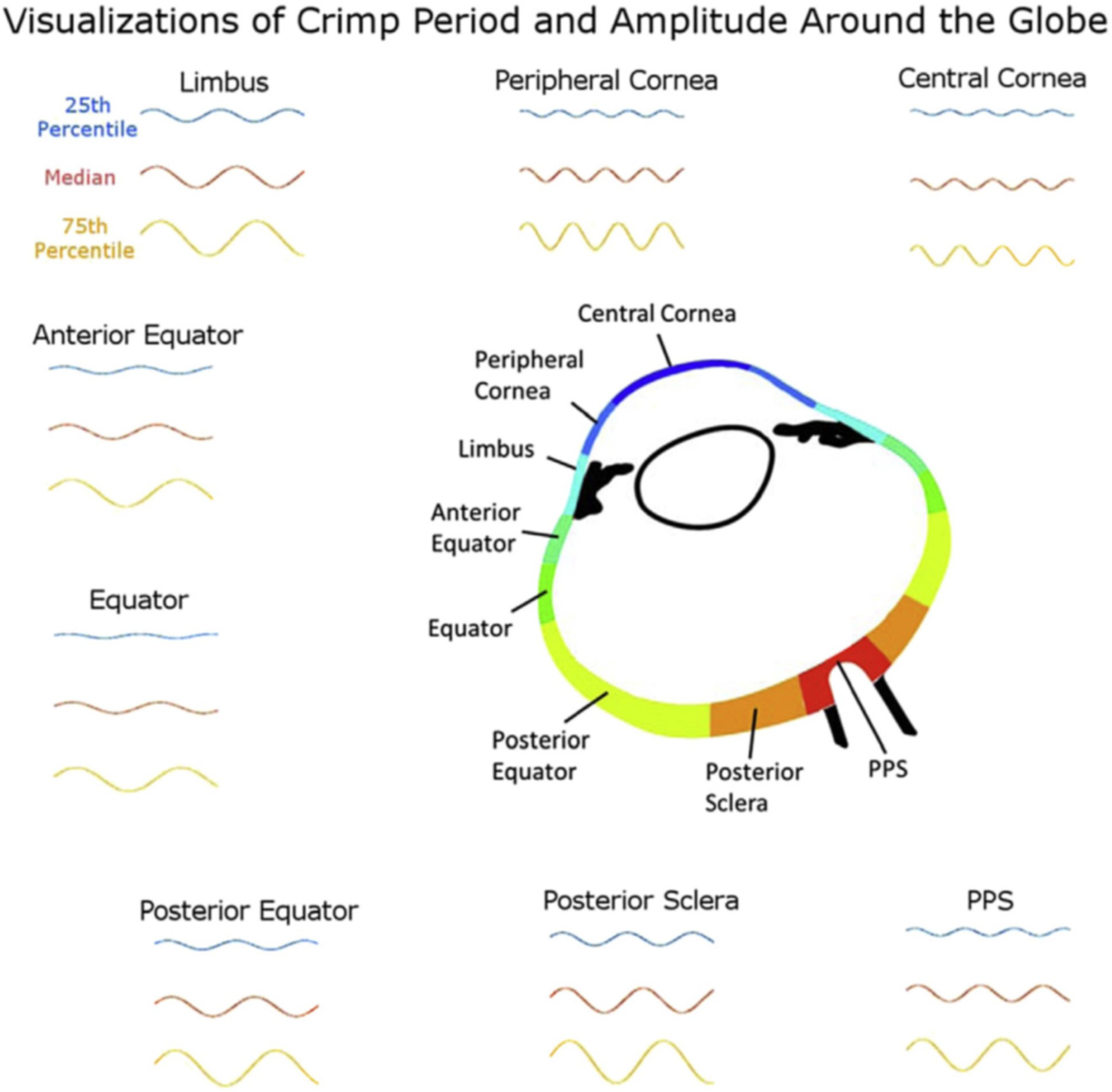 Figure 13: