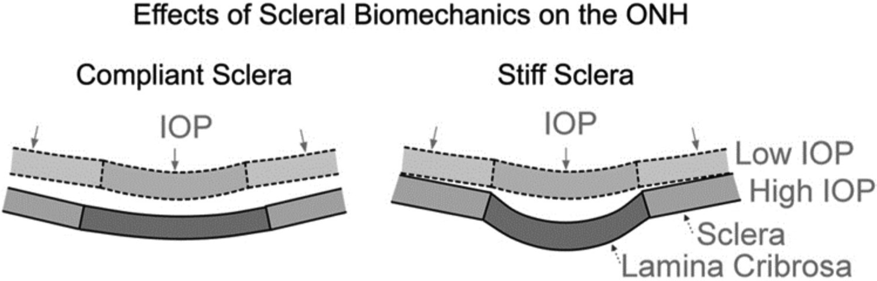 Figure 24: