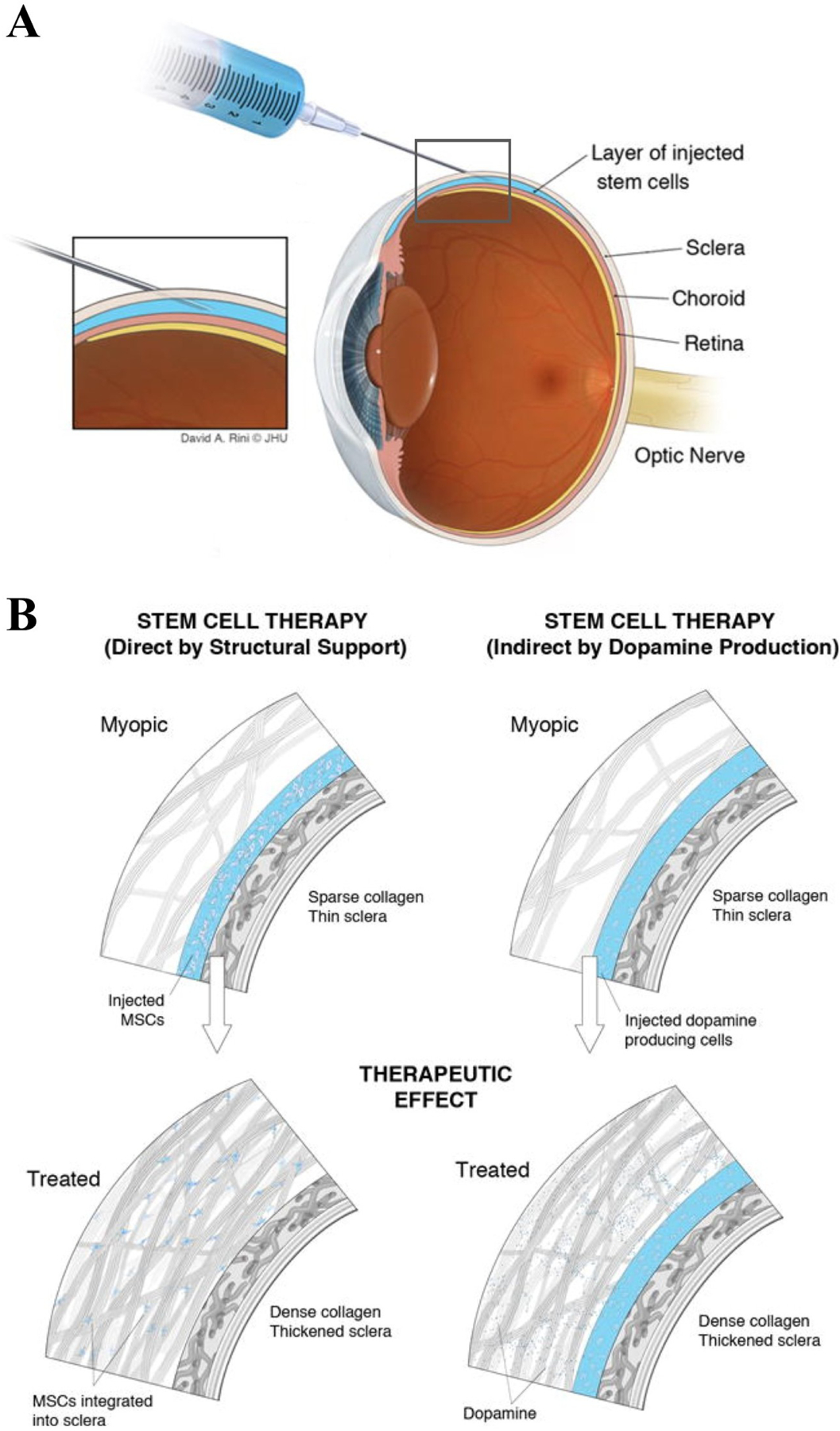 Figure 37: