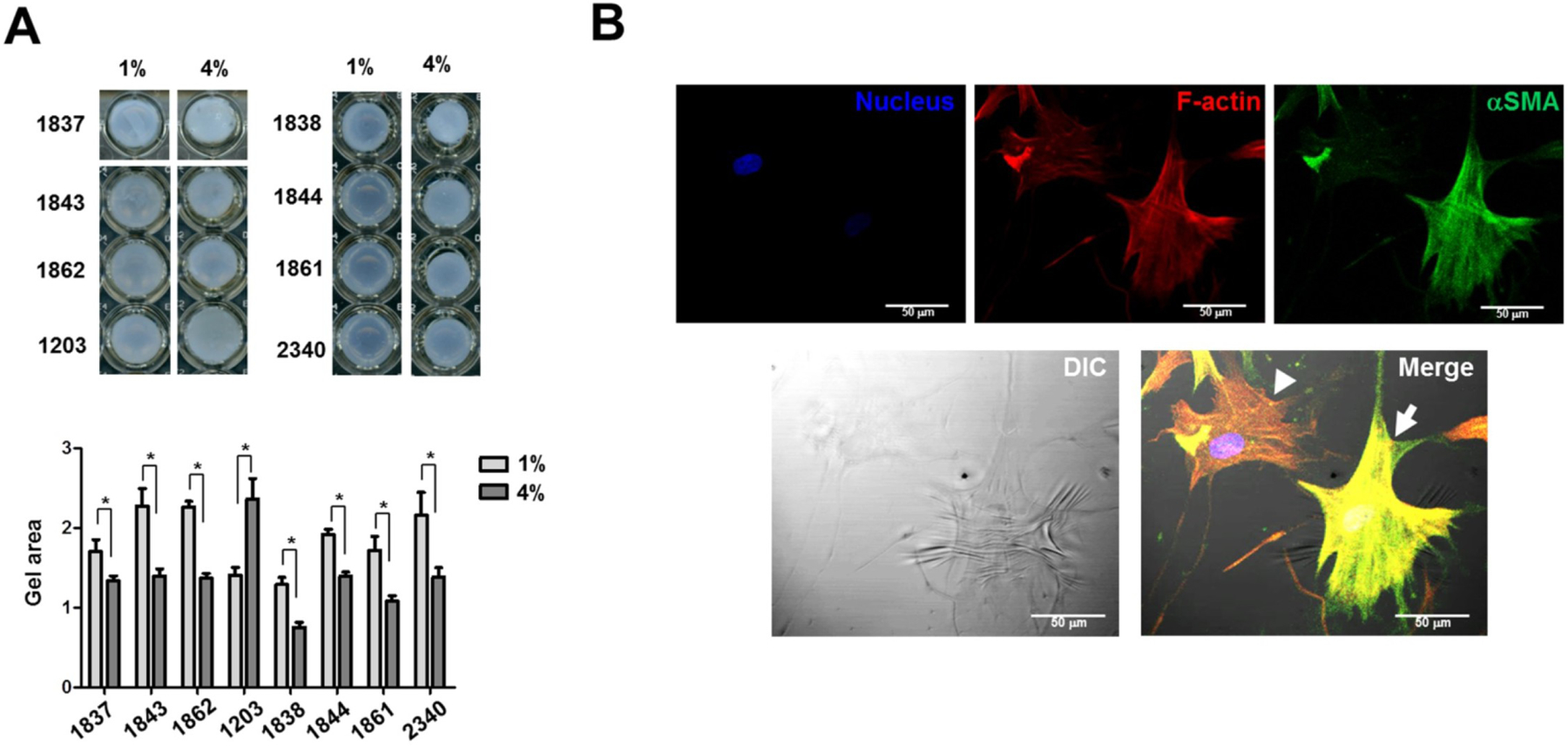 Figure 22: