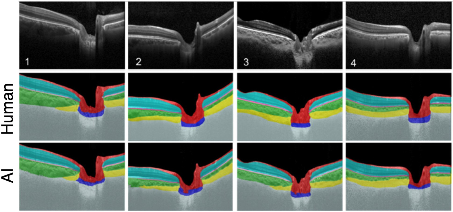 Figure 36: