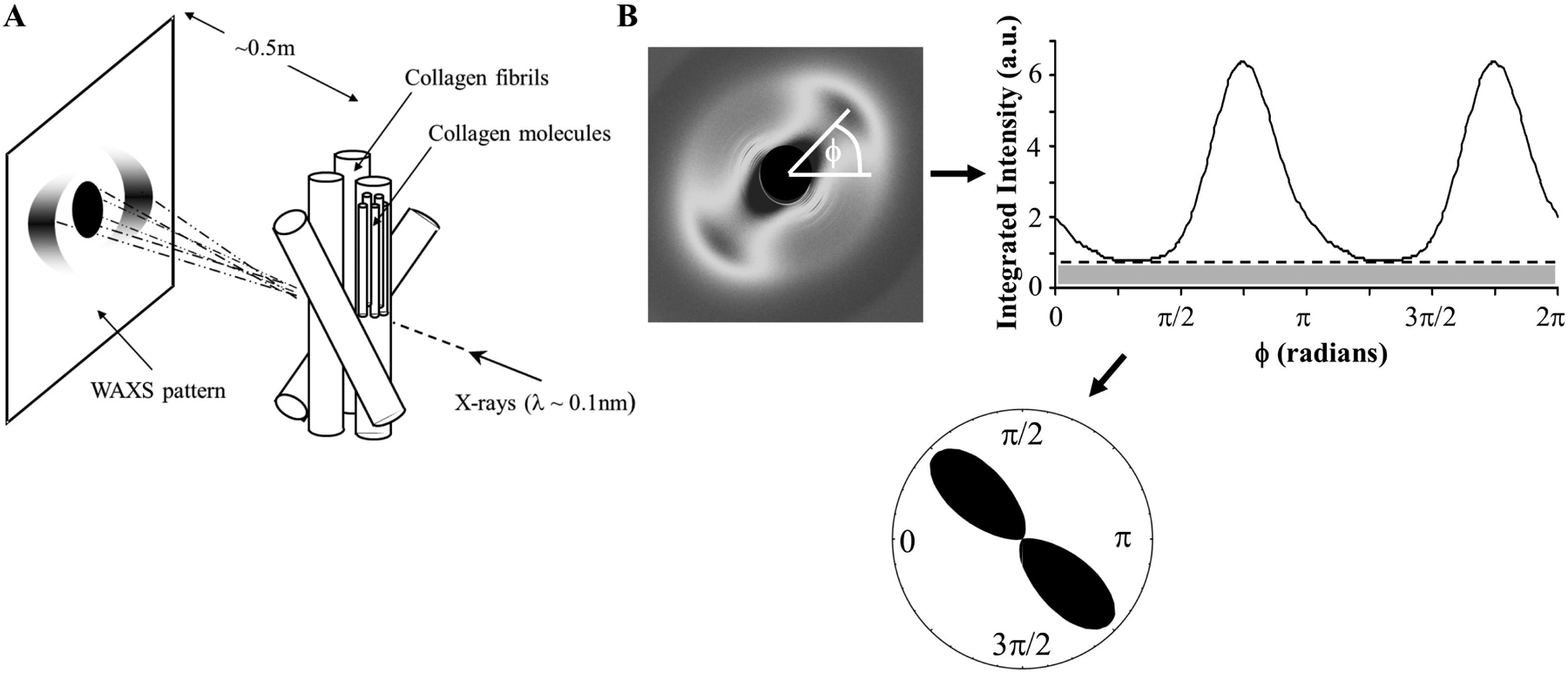 Figure 5: