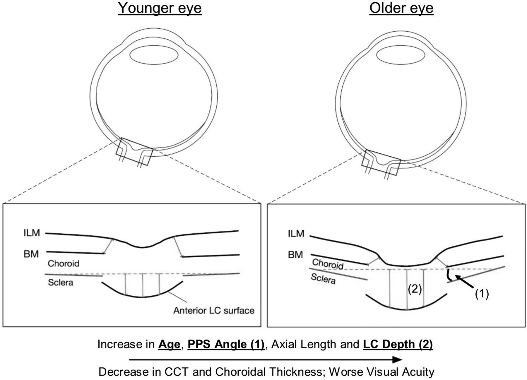 Figure 28: