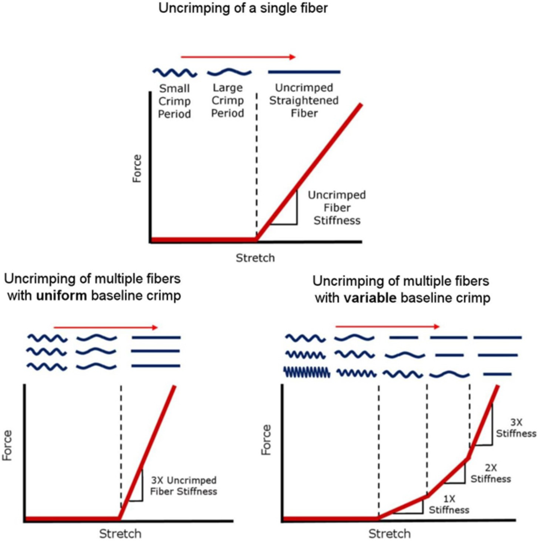 Figure 12: