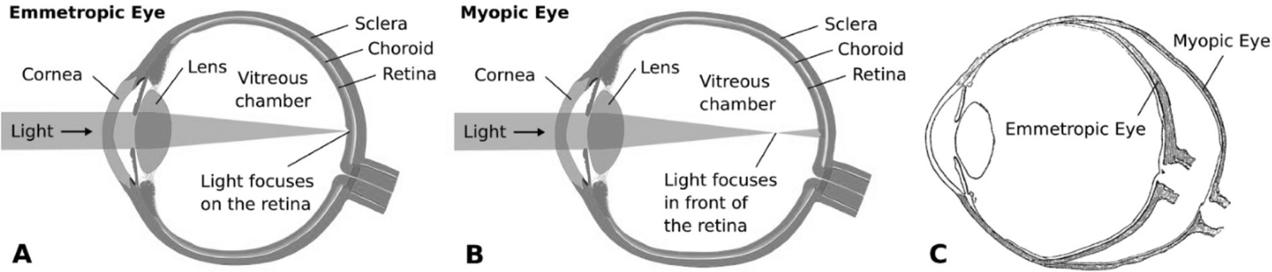 Figure 29: