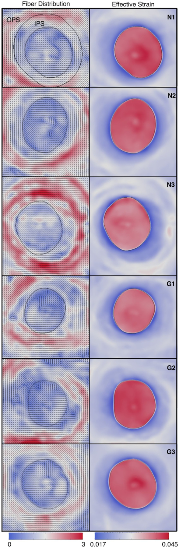 Figure 7: