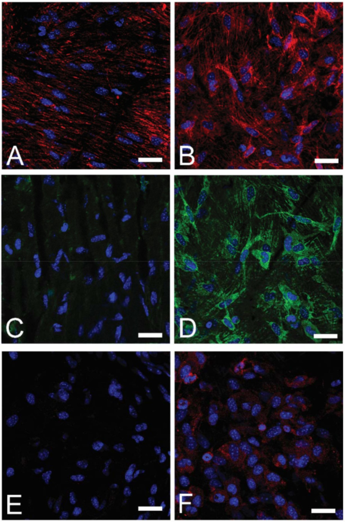 Figure 23: