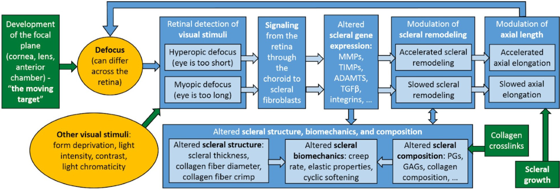 Figure 30: