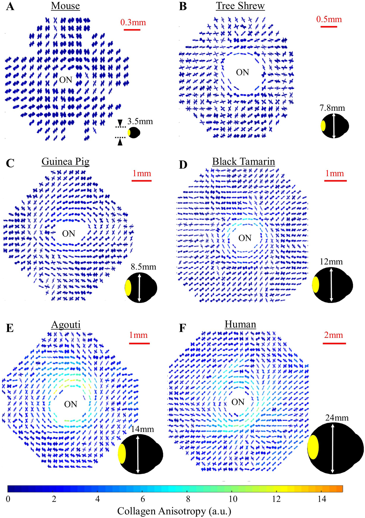 Figure 6: