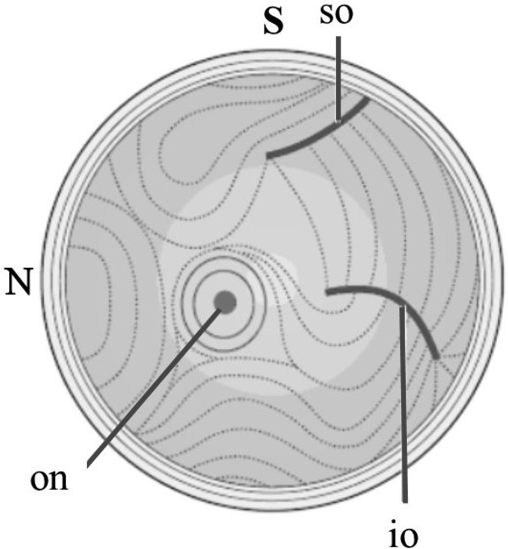 Figure 4: