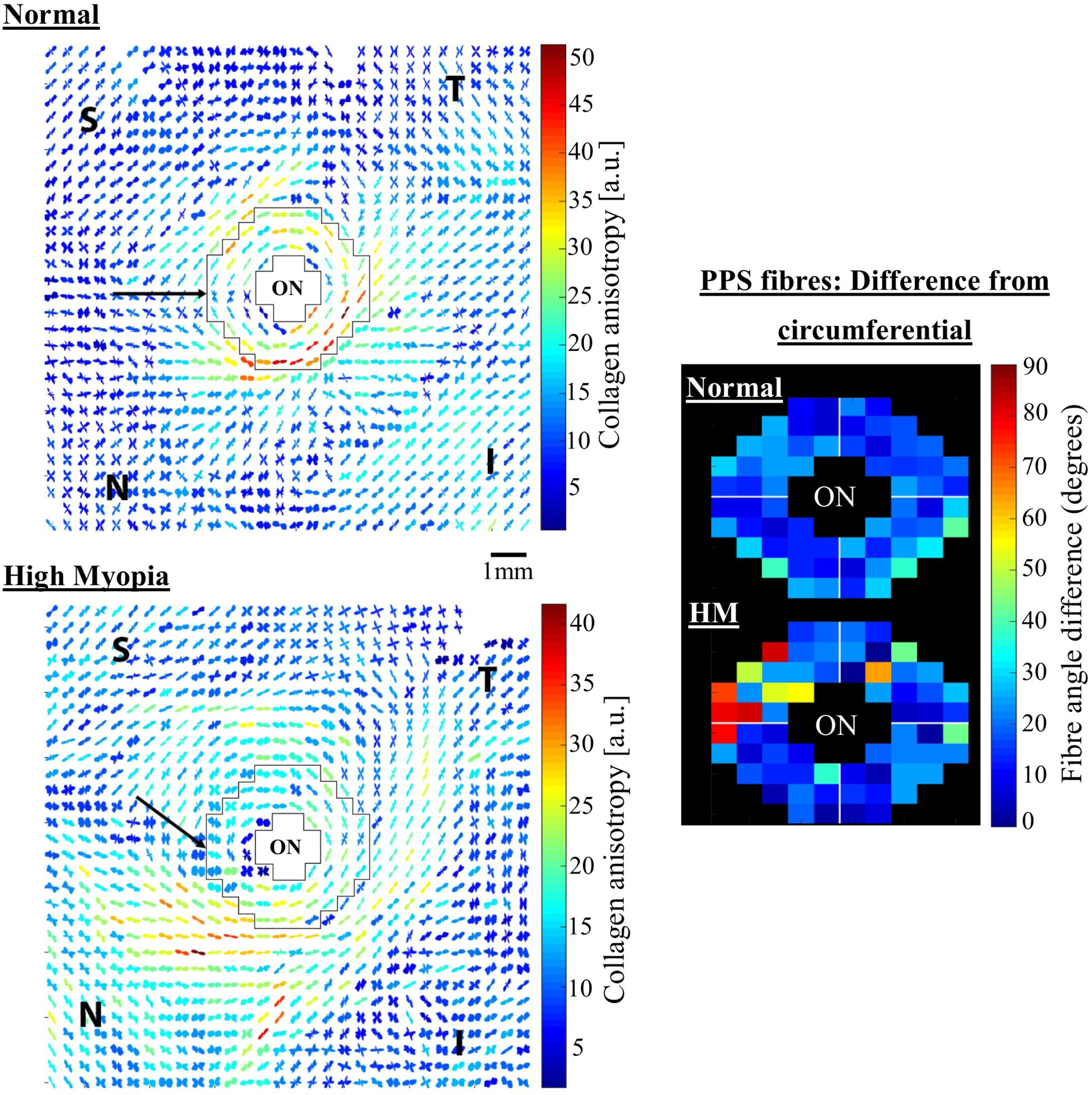 Figure 31: