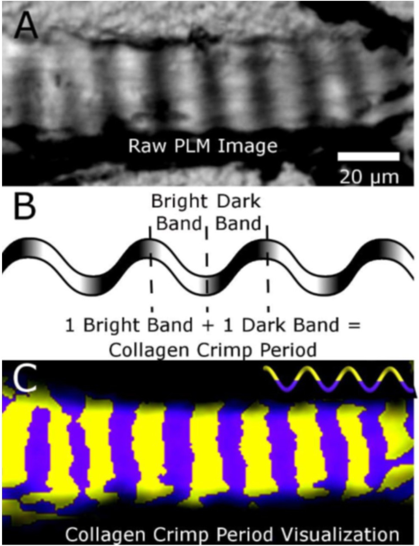 Figure 10: