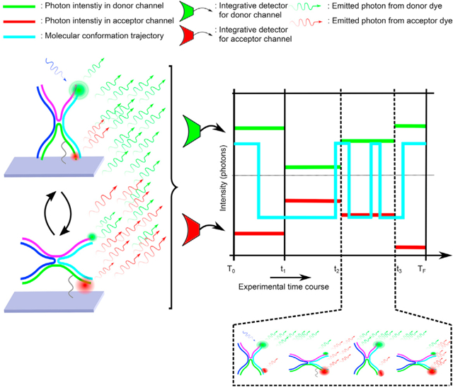 graphic file with name nihms-1706746-f0001.jpg