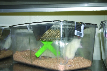 Figure 2.