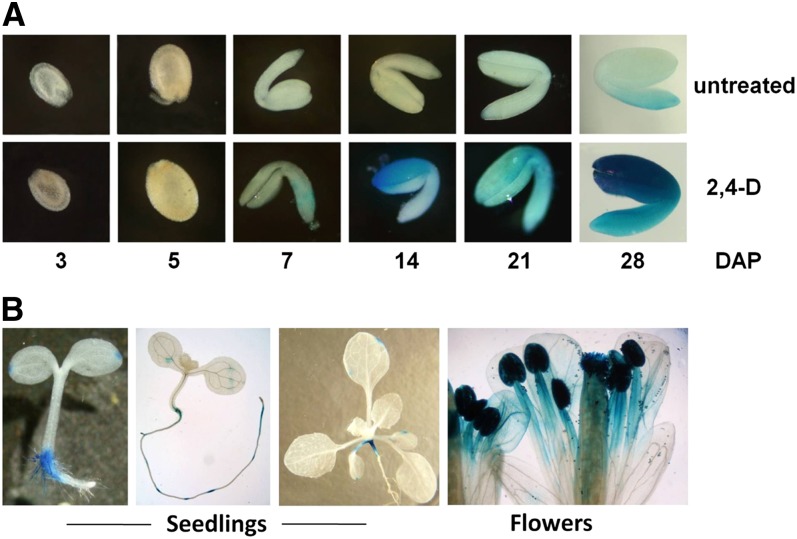 Figure 3.