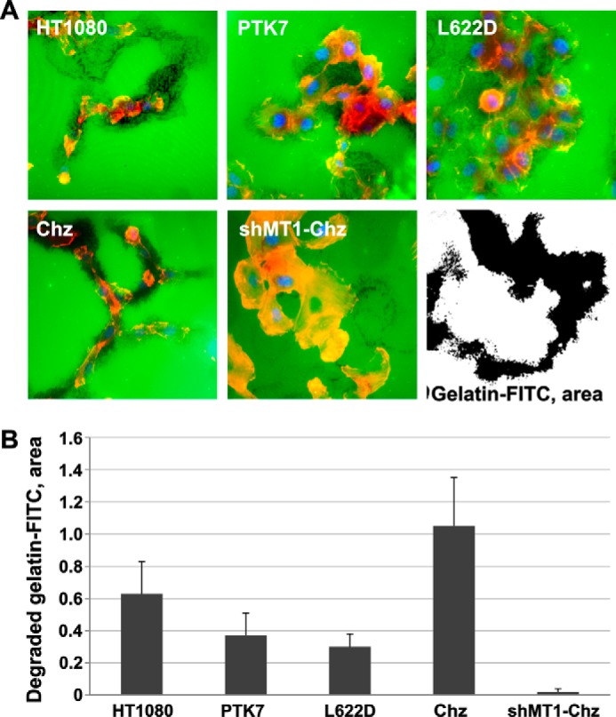 FIGURE 4.