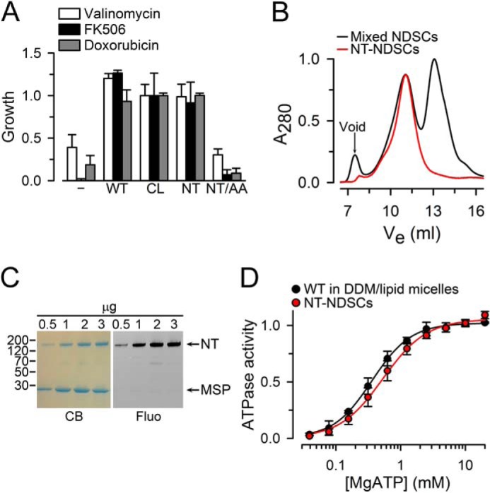 Figure 2.