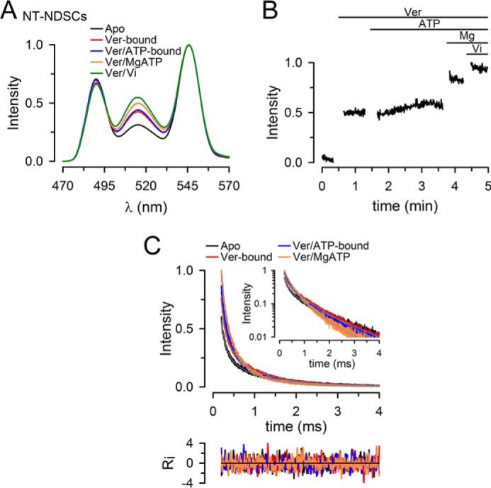 Figure 4.