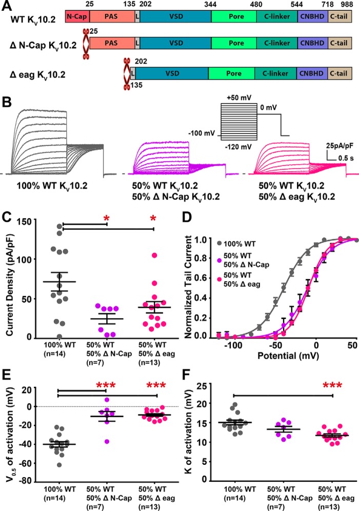 Figure 11.