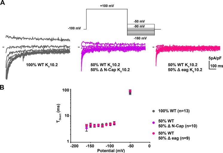 Figure 12.