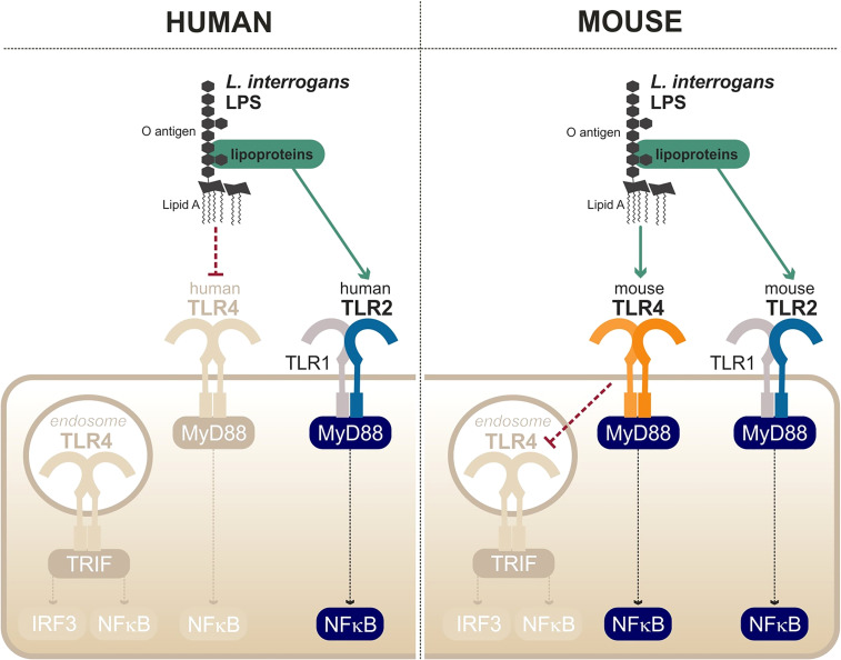 Figure 6