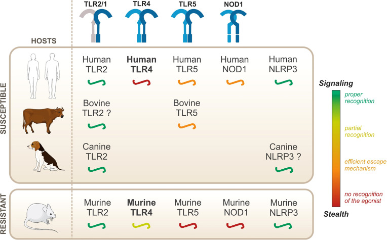 Figure 7