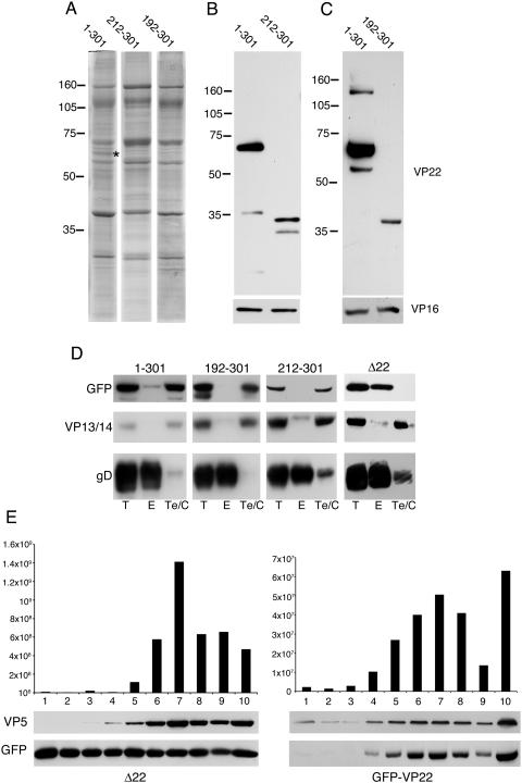 FIG. 5.