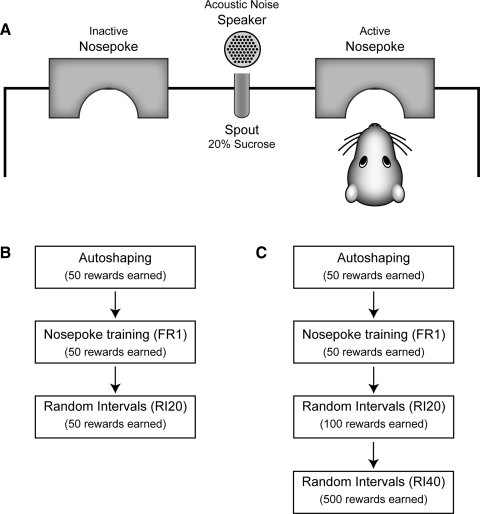 FIG. 1.