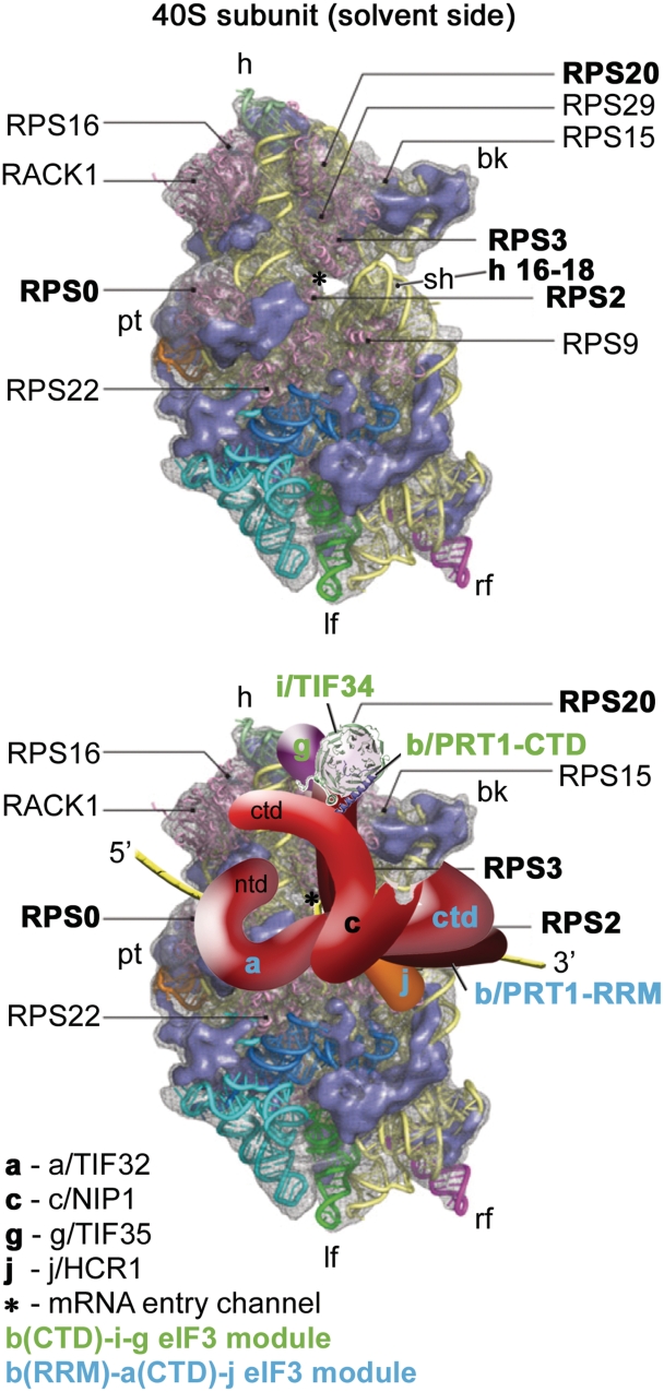 Figure 9.