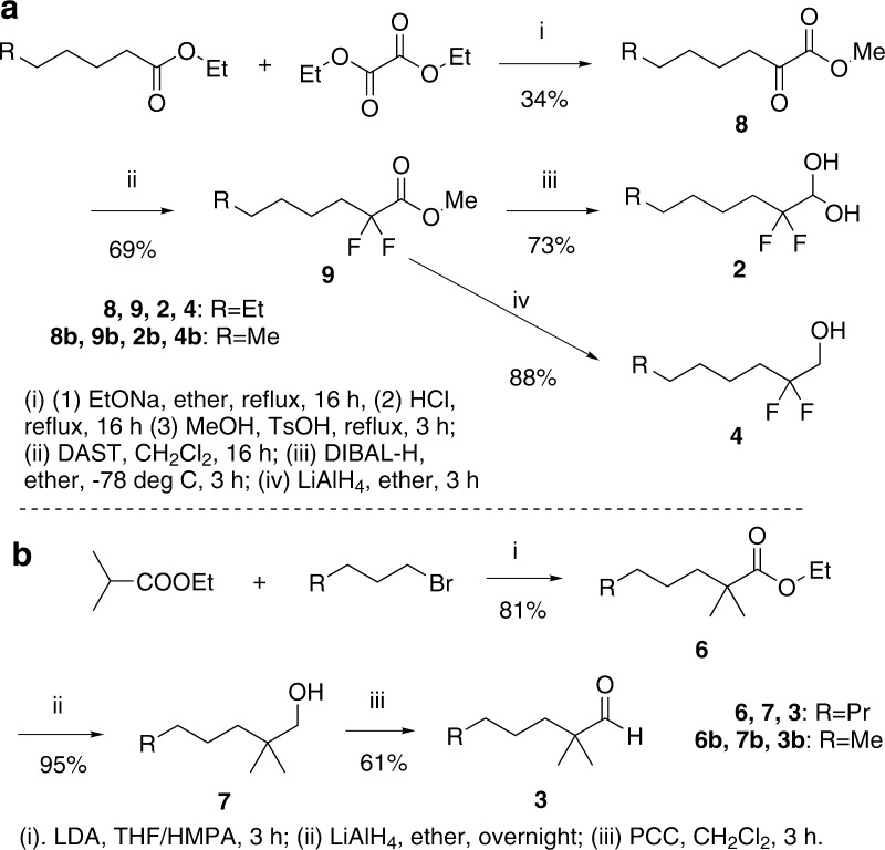 Scheme 2