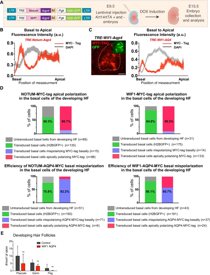 Figure 6—figure supplement 5.