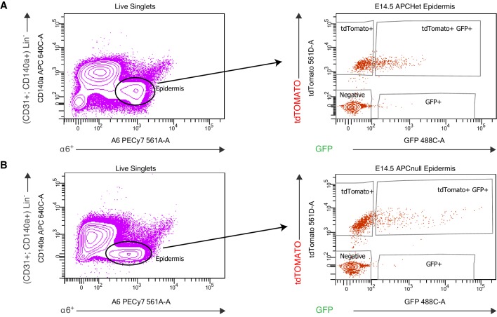 Figure 2—figure supplement 1.