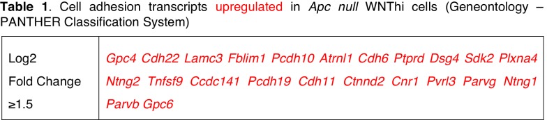 Figure 2—figure supplement 2.