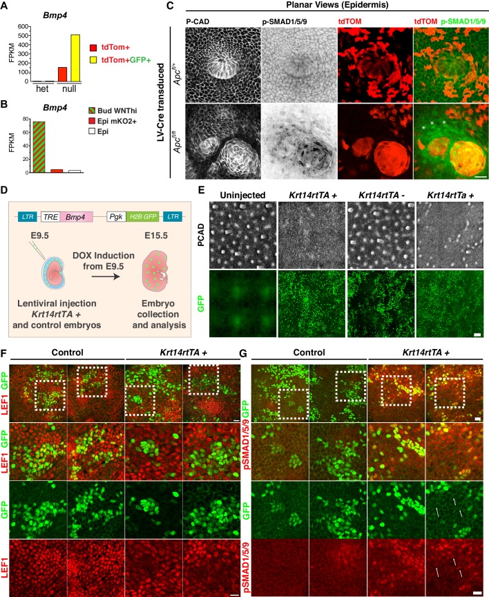 Figure 3—figure supplement 3.