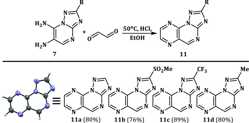 Scheme 8