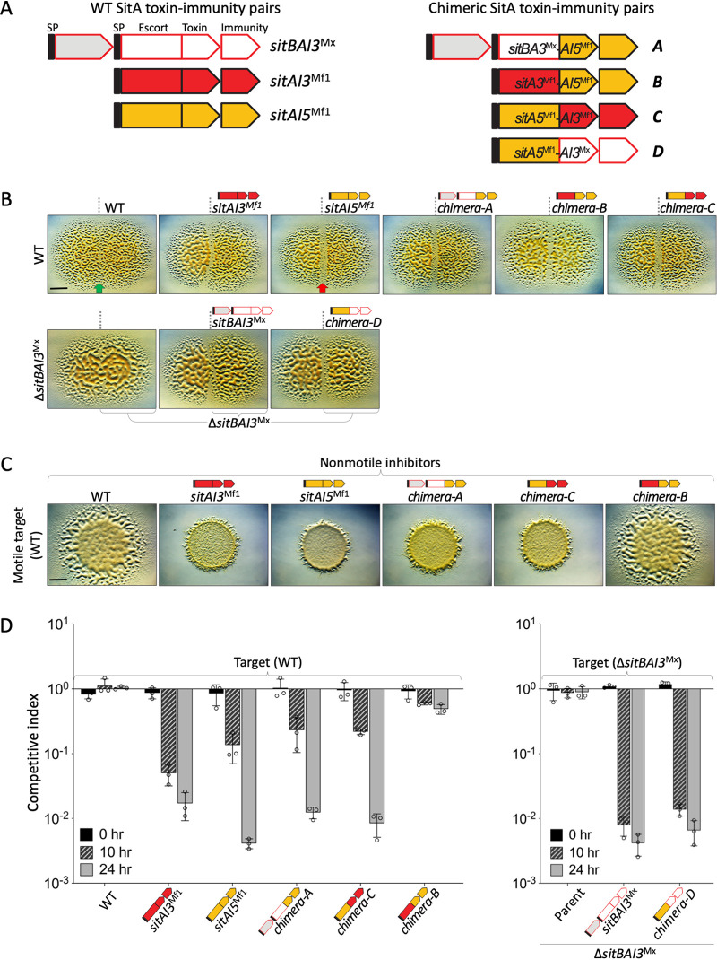 FIG 3