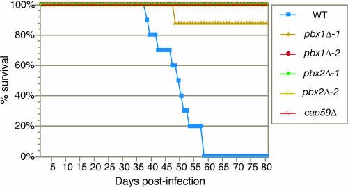 FIG. 7.