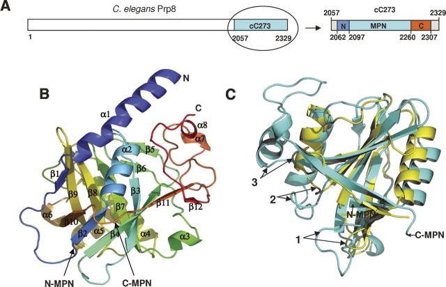 Figure 1.