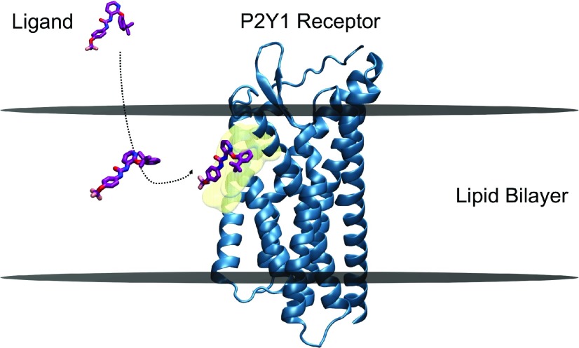 Fig. 3.