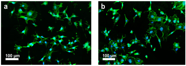 Figure 25