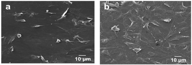 Figure 24