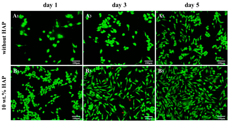 Figure 34