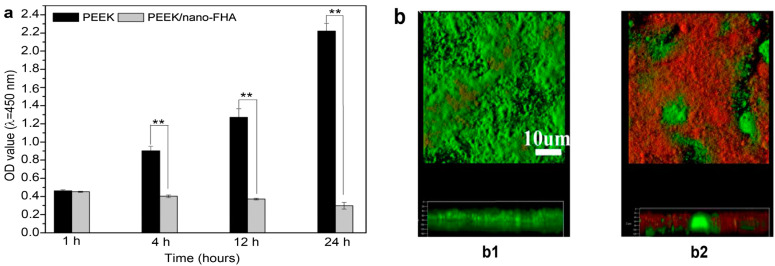 Figure 20