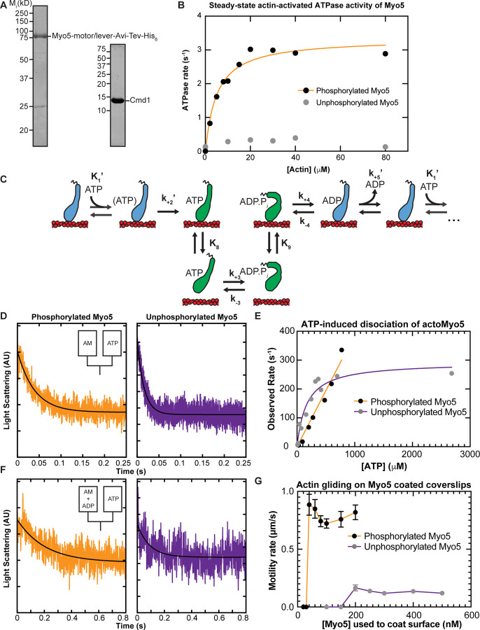 Figure 2: