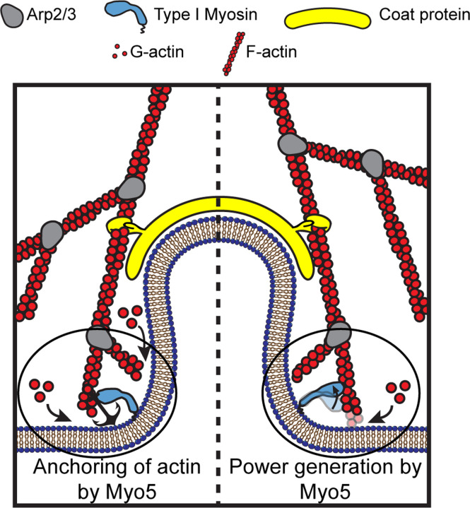 Figure 1: