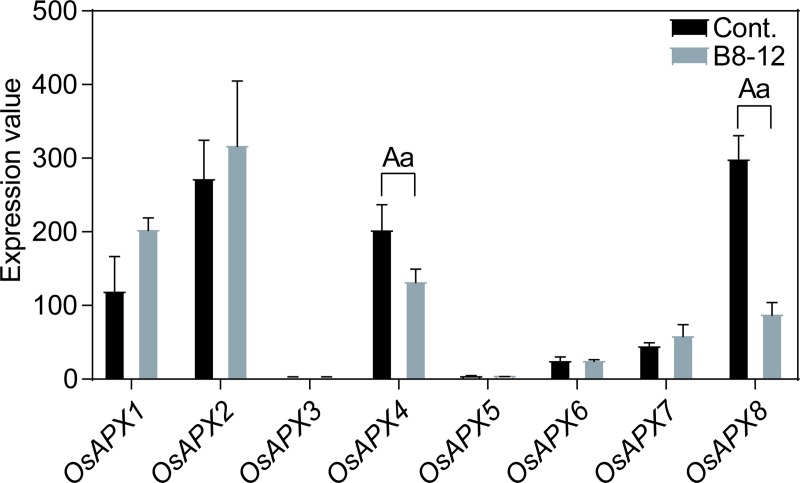 Fig 10